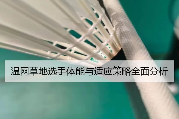 温网草地选手体能与适应策略全面分析
